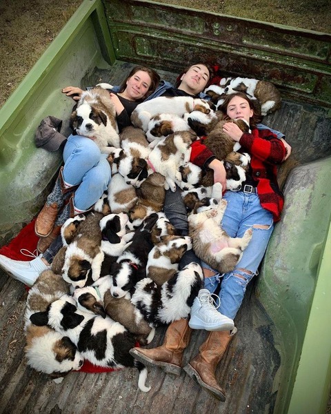 189600893_1883155812076917_3507592290532612493_n