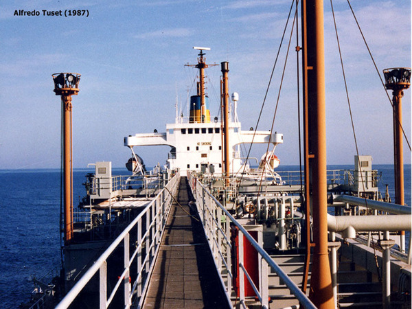 242120063_10226281059762119_5426482557663086028_n