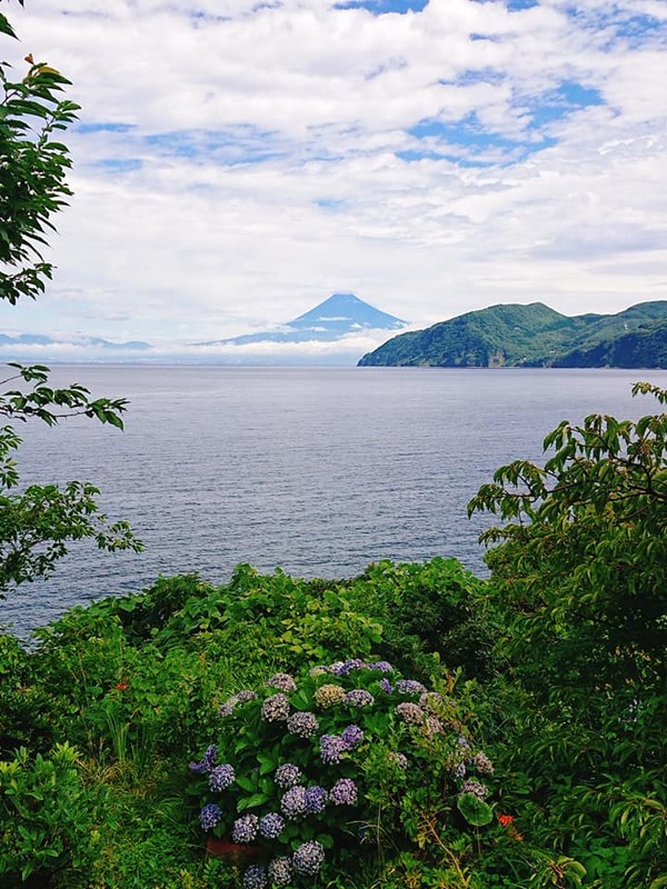 206139932_4171613336291896_1120770492405443374_n