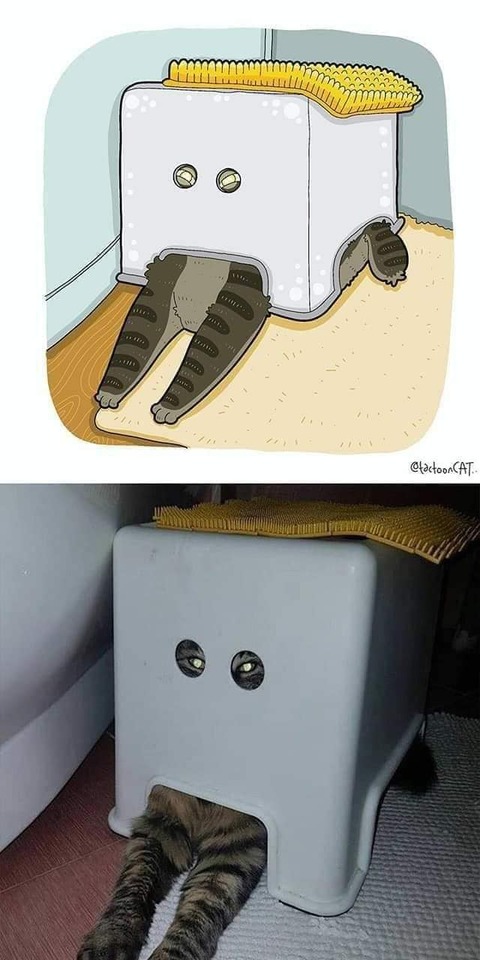 186508066_138218028343061_5703641254903973284_n