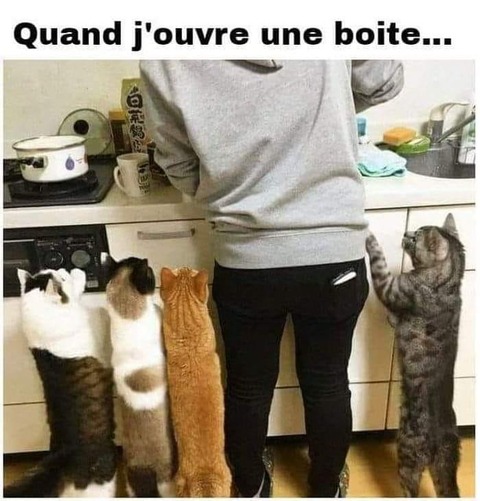 186546414_4301906316540486_3223284052340776932_n