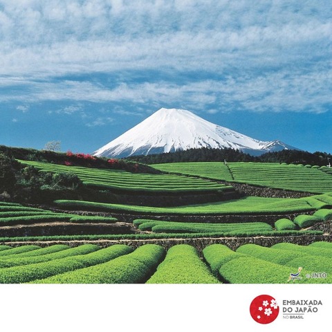 184495300_1639917692863686_8137918648063978952_n