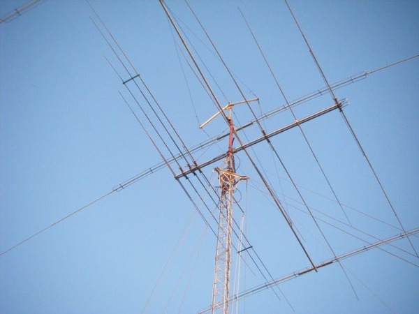 206992955_4131397960282893_4902344557744099315_n