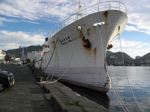 11536451_450659955113296_586336091677698594_o