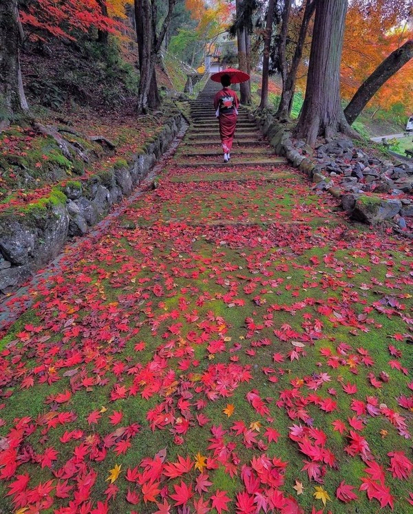 204951298_346338906862118_787611359406608677_n