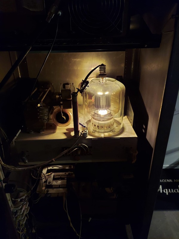 257926680_443611857258163_7681012213438531631_n