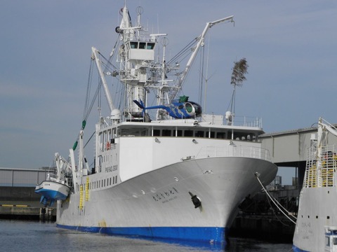 11143258_450659378446687_2877224465361912148_o