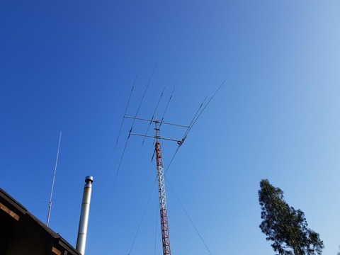 186486155_4026925574063466_7962984258751507456_n