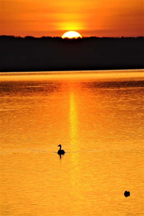 186526993_4496474980381990_7593004018231313043_n