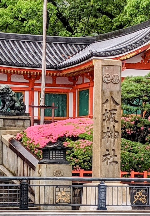 187147231_595255538107379_4712389751258910656_n