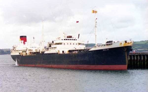 244612004_575875197082454_8813314105062951049_n