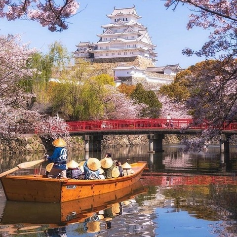 184345618_839423110046591_4522970131647354261_n