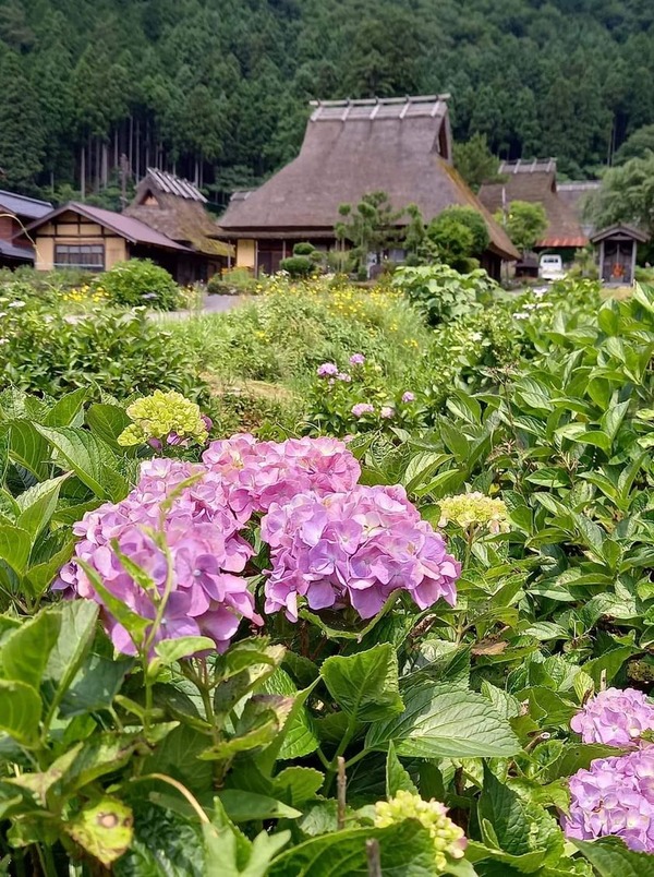 202649178_152323986960890_9022730838130303349_n