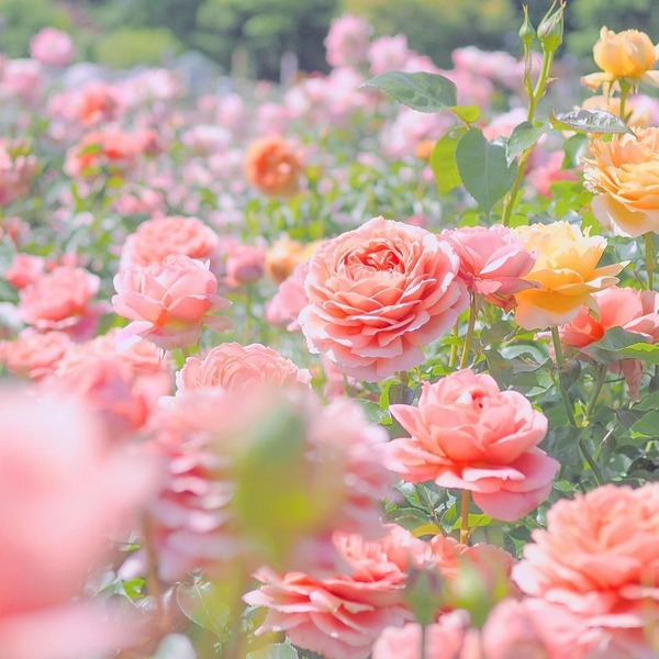 209358463_2852705478311379_7598090788846086809_n