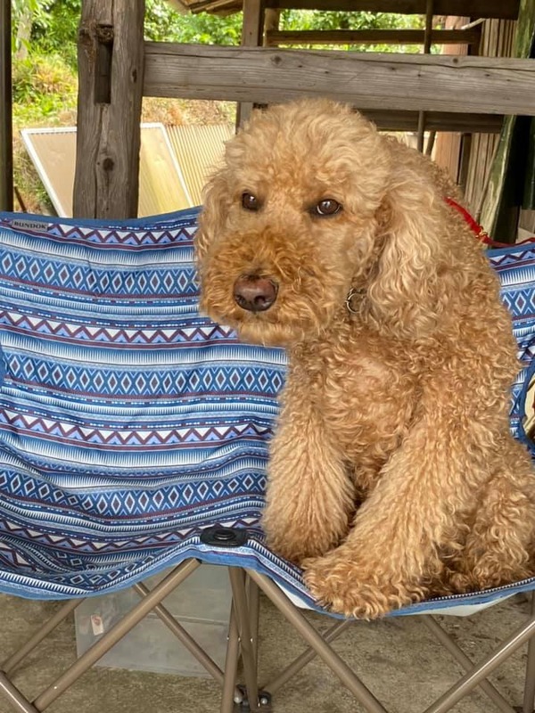 206894932_10158559196074055_4701972263662806900_n