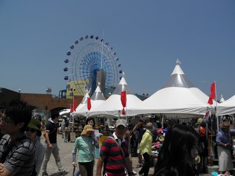 13246340_575075019338455_6138867125968524705_o