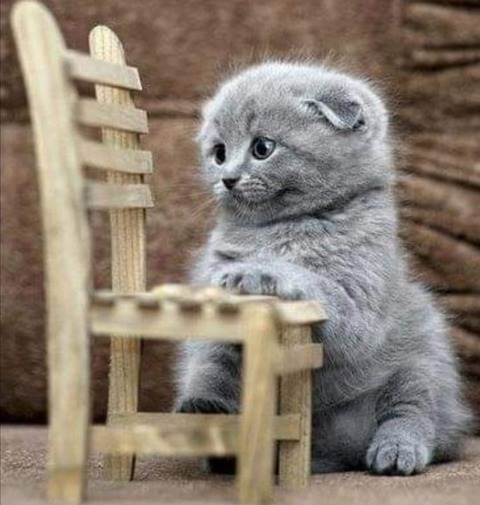 184946375_3935269529926967_6632287668550360698_n