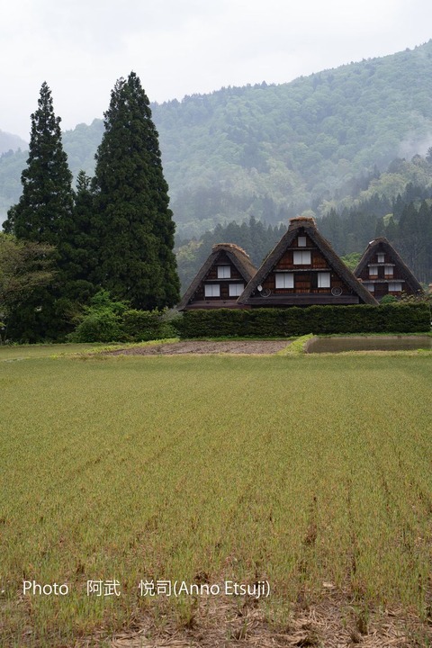 184611355_4127234147329424_7377754139352541232_n