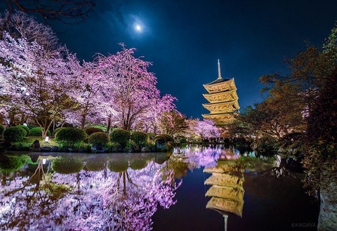 186833398_806519019982290_8302351886091849677_n