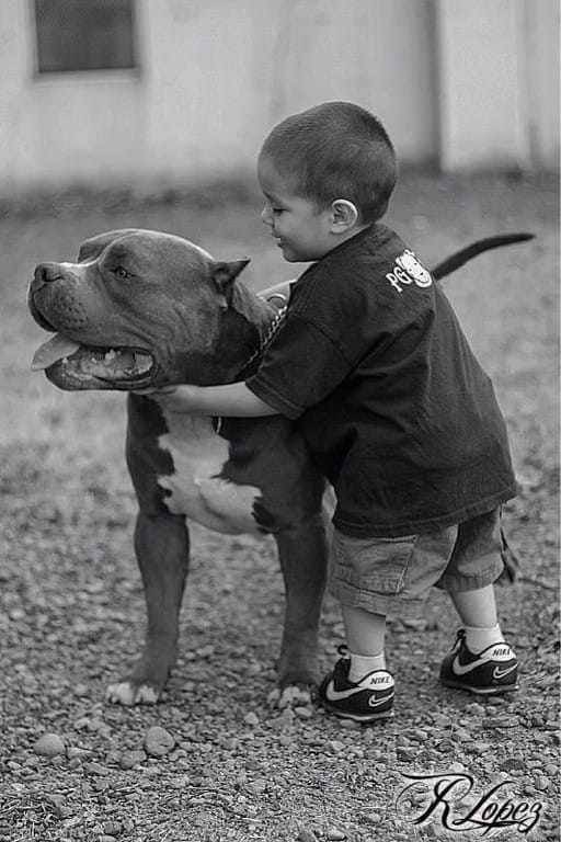 206085378_201512851979828_2971536883128207061_n