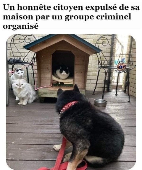 188581995_4314270005304117_312364875281557504_n