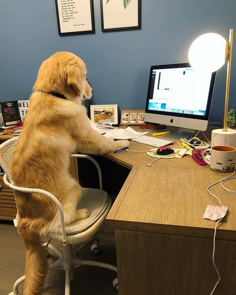 186989171_1879593595766472_8146147553454945875_n