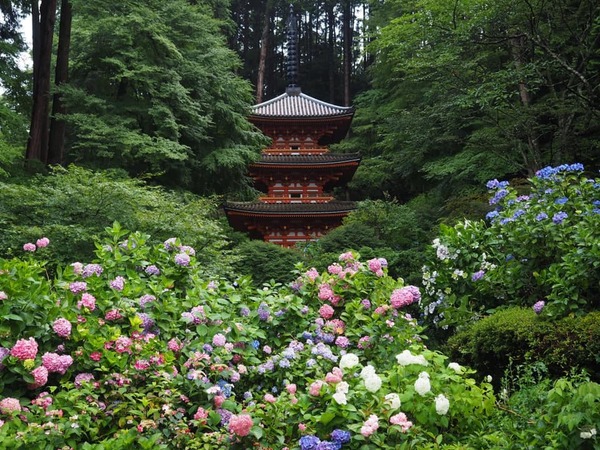 207544622_2946083119053546_2271775954644850844_n