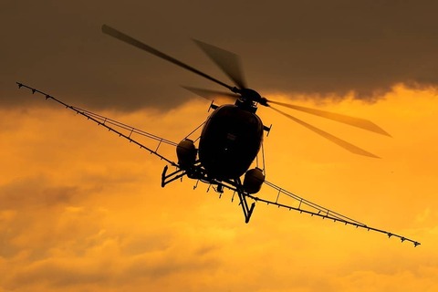 190430939_10160085742966661_3741428943548213716_n