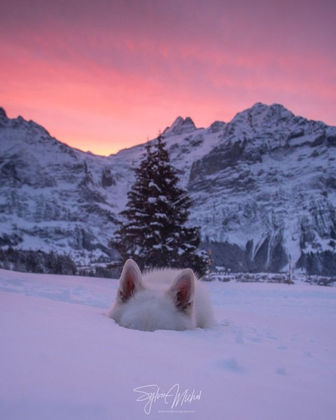 188210951_319065932922107_8635649435341899775_n