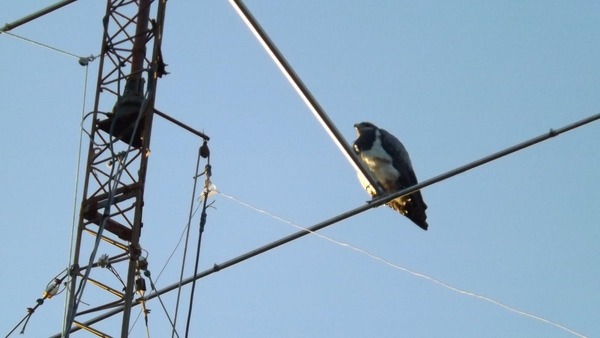 203012537_4133989903357032_9125112008299174498_n