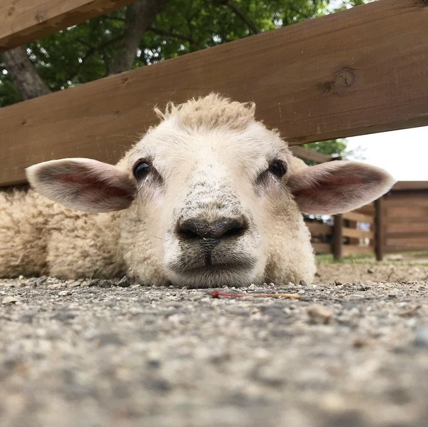 204742683_4492781267422925_7248433913709693172_n