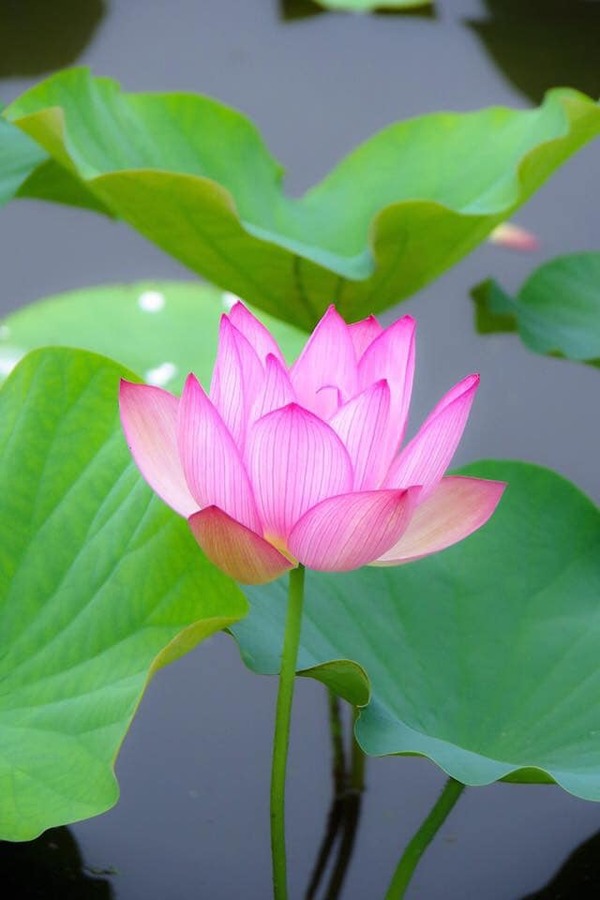 206038898_3852976564811937_7078982436670343190_n