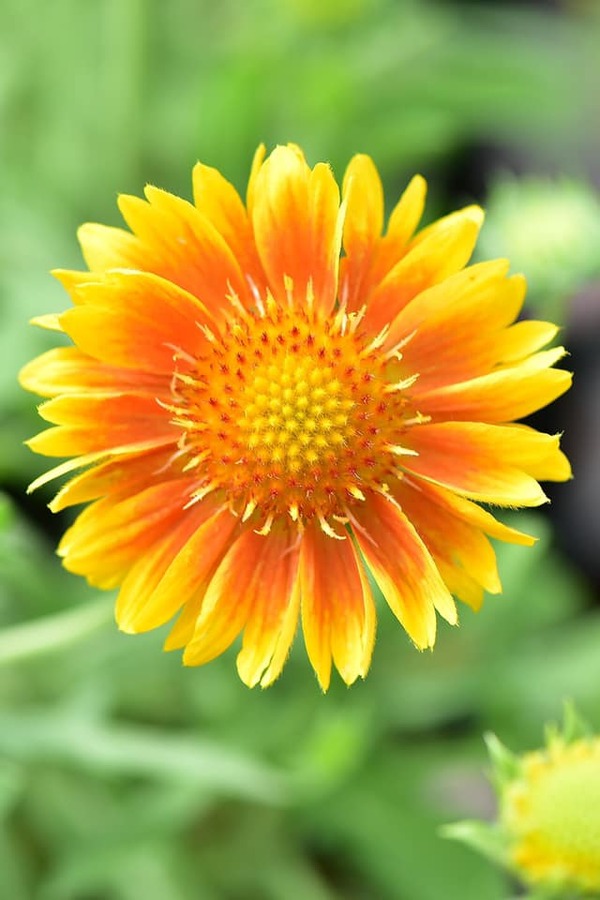 206825993_3863623527080574_1727079879278315026_n