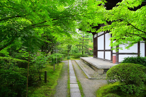 204183734_3768017413422734_841582443988567516_n