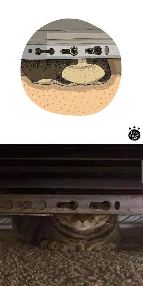 186474649_138216008343263_1826957078014163966_n