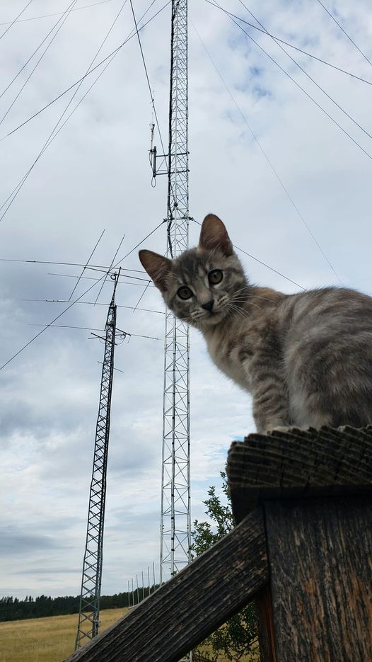 298787768_5570941836306217_2309194216212993022_n