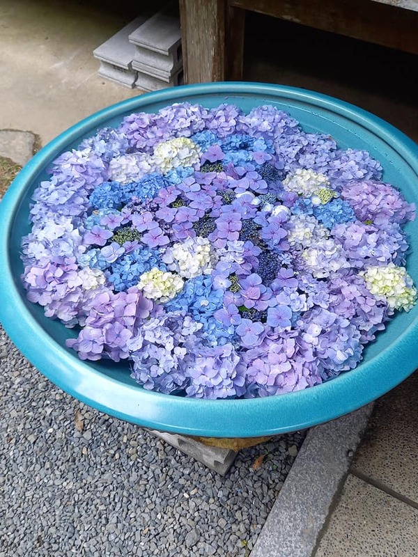 209579032_1973138279528291_3236565959016638550_n