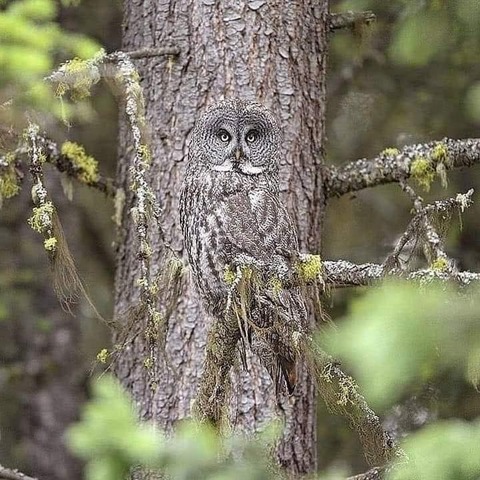 182720126_314663596684618_4706564001125743772_n