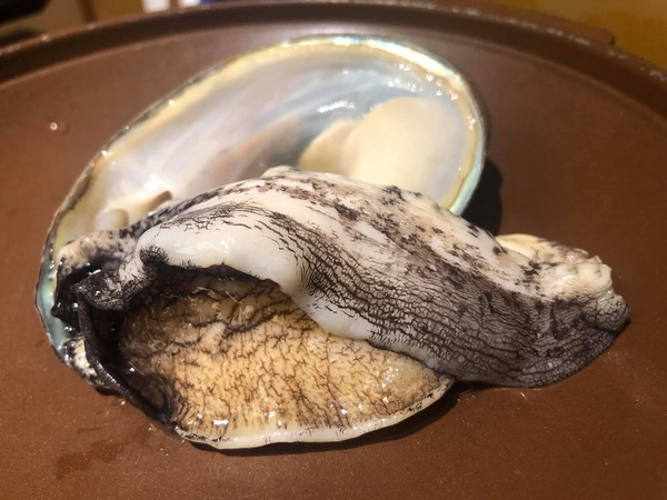 204457681_4362227597186359_7644453429285257523_n