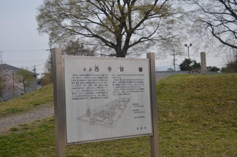 186234117_806518479982344_9129330791873362252_n