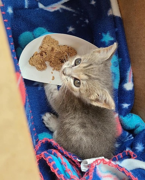 185816530_317730623055296_3754335141615941204_n