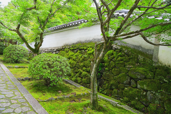 206379339_3768017446756064_4717889890669491308_n