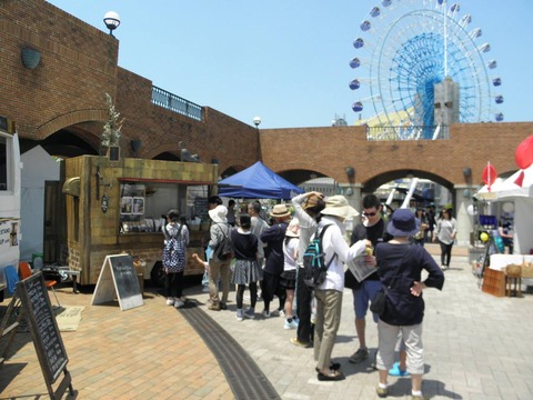 13248571_575075059338451_2874147422000788208_o