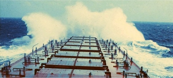 241930579_562910628378911_1001227788039813886_n