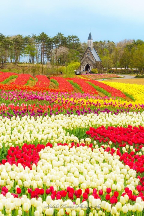 185525551_4486992724663549_3674224763079160355_n