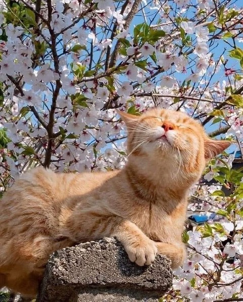 184117130_4283802035017581_3944585627709315769_n