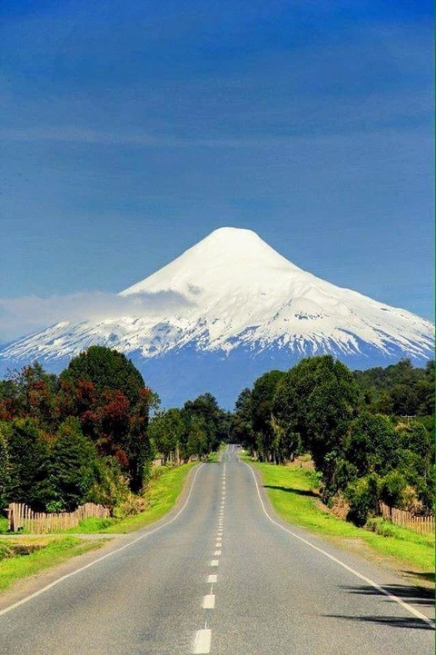 187539202_1716298011911829_3416074963411207270_n