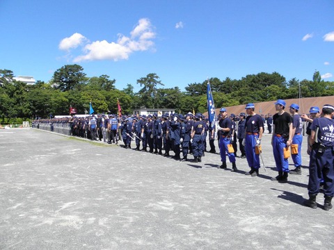 11703546_464885080357450_1878809703362185075_o