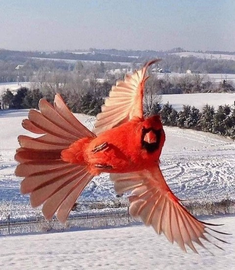 187599219_322248185926159_2555932587424832066_n