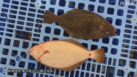 K10012571301_2008172058_2008180452_01_03